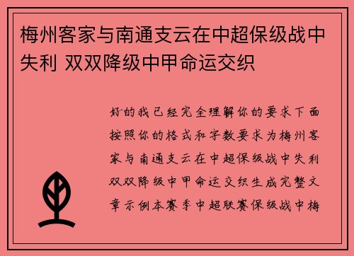 梅州客家与南通支云在中超保级战中失利 双双降级中甲命运交织